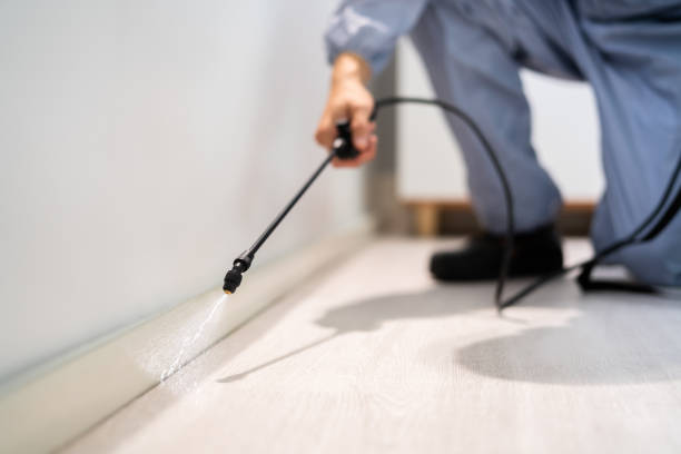 Licensed Cockroach Control service in Roseville, CA - Nex Pest Control