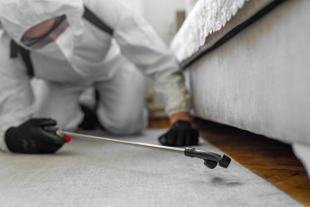 Professional Cockroach Control technician working in Roseville, CA
