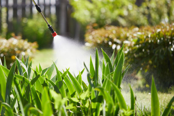 24/7 Emergency Cockroach Control experts in Roseville, CA