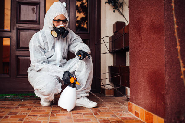 Reliable Cockroach Control contractor in Roseville, CA by Nex Pest Control